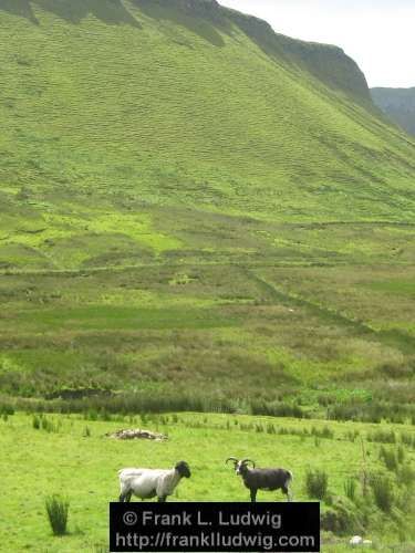 Gleniff Horseshoe